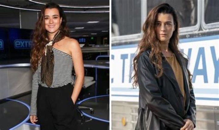 Cote de Pablo children Does the NCIS Ziva David star have kids? TV
