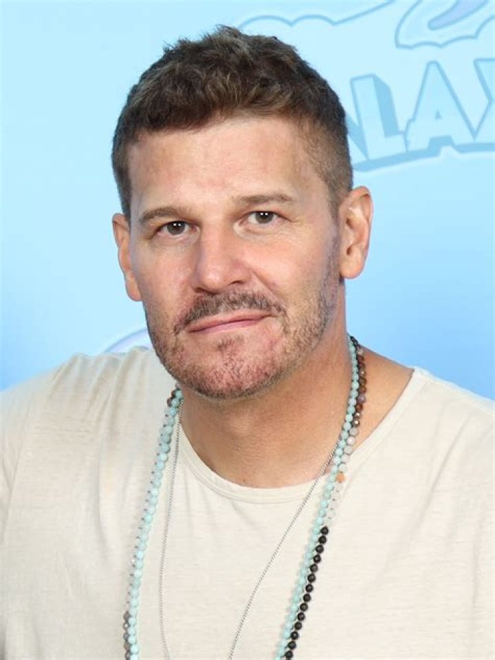 David Boreanaz Net Worth, Height, Wiki, Age, Bio David boreanaz, Net