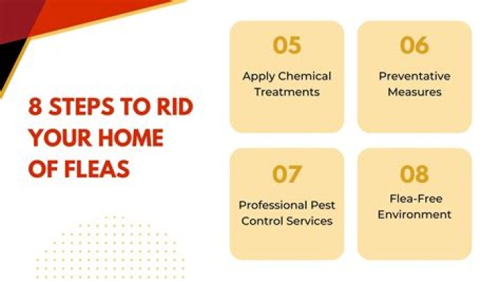 Flea Pest Chemical Control & Insecticide Products MGK&reg;