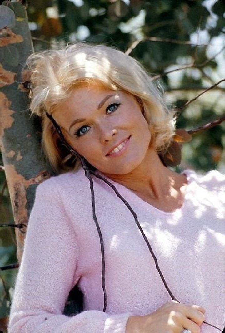 Pat Priest Net Worth How Much is Pat Priest Worth?