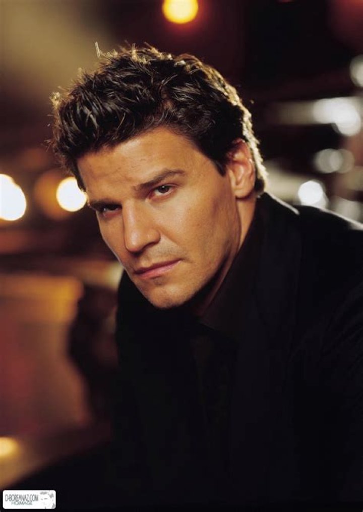 Photo de David Boreanaz Photo David Boreanaz AlloCin&eacute;