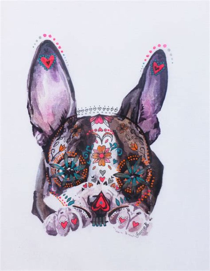Sugar Skull Boston Terrier Puppy Mixed media dia de los muertos