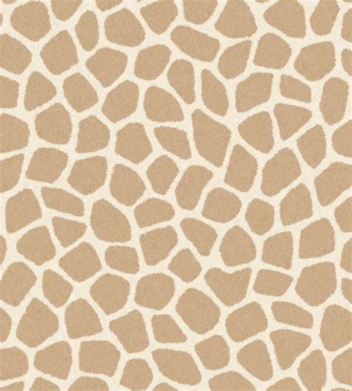 yellow giraffe print wallpaper if.... [Full Movie]&clubs; If Drew Didnt