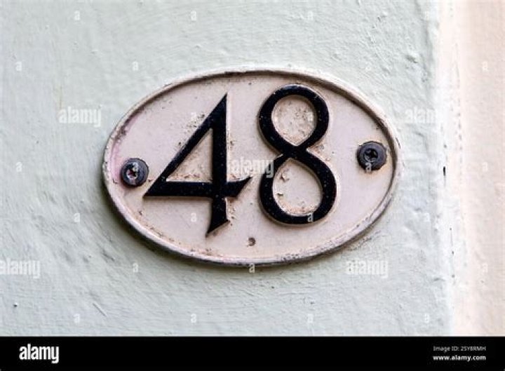 Zn&aacute;silněn&aacute; a zavražděn&aacute; 48 N&aacute;vrat do reality
